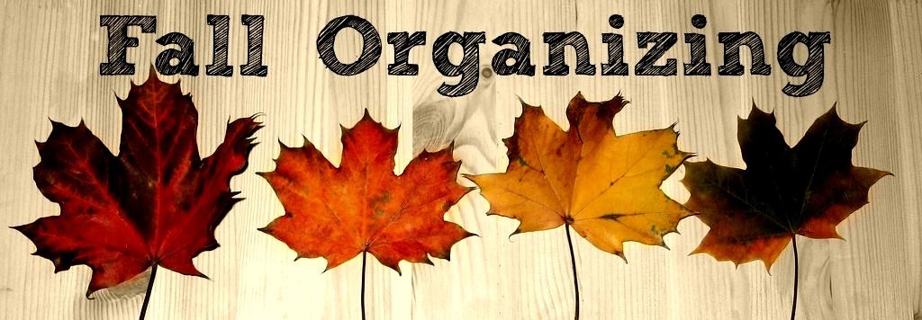 Fall Organizing